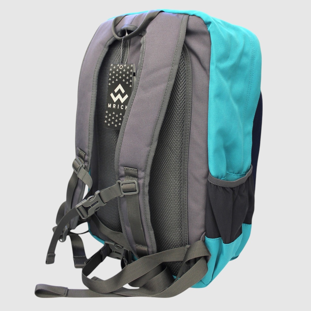 127-RM4238-68