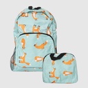 129-FOLDABLE-BP2-60
