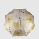 PARAPLUIE OUVERTURE FERMETURE