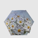 Mini parapluie de voyage à motifs – MAT